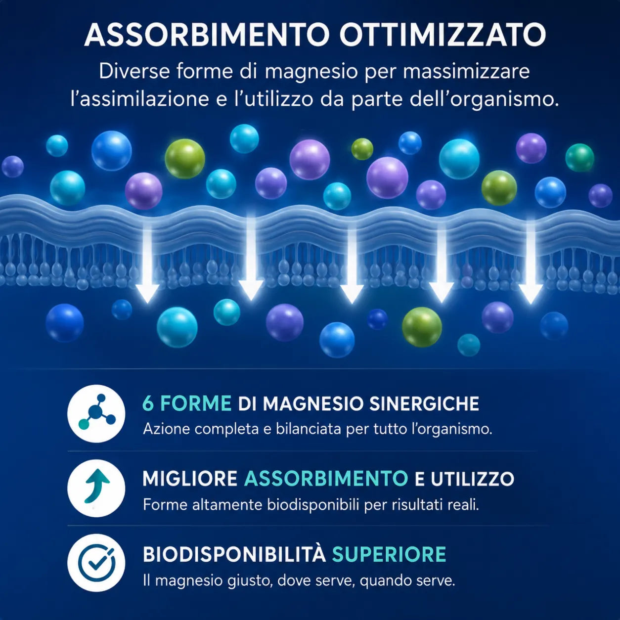 MagMax