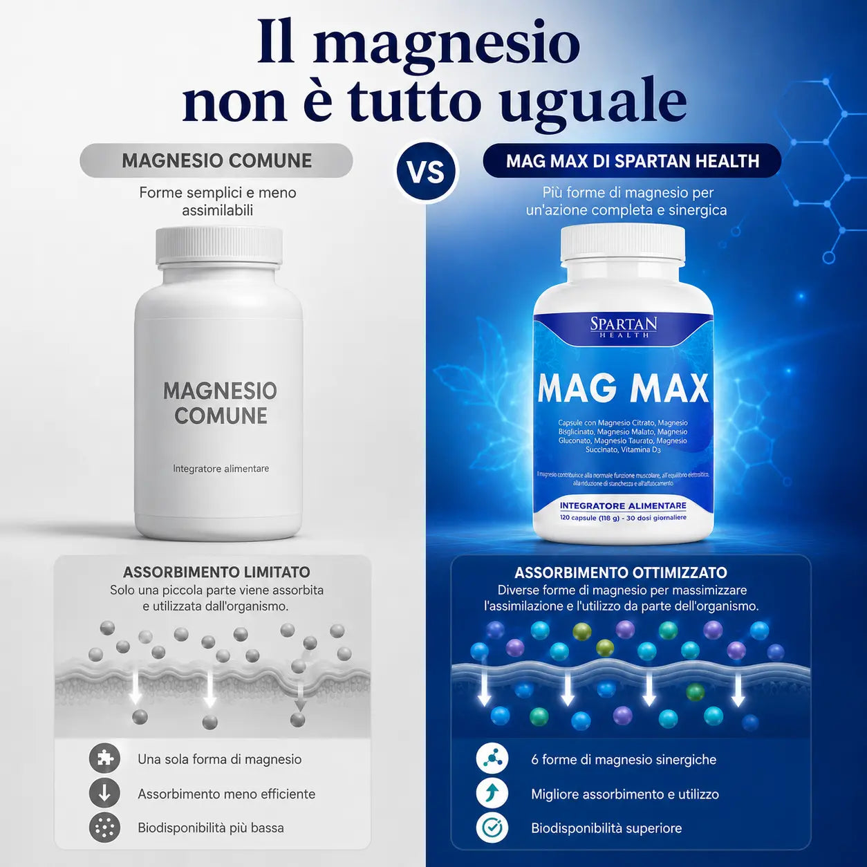 MagMax