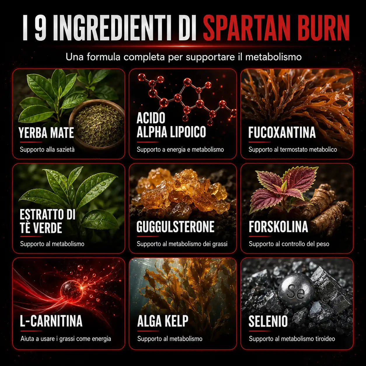 Spartan Burn