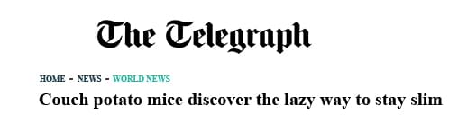 The Telegraph.